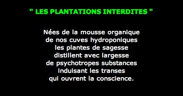 T52plantationsinterdites